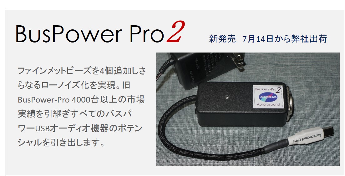 驚きの値段】 Aurorasound BusPower-Pro2 - アンプ